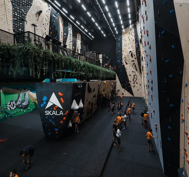 Vista general Vista general