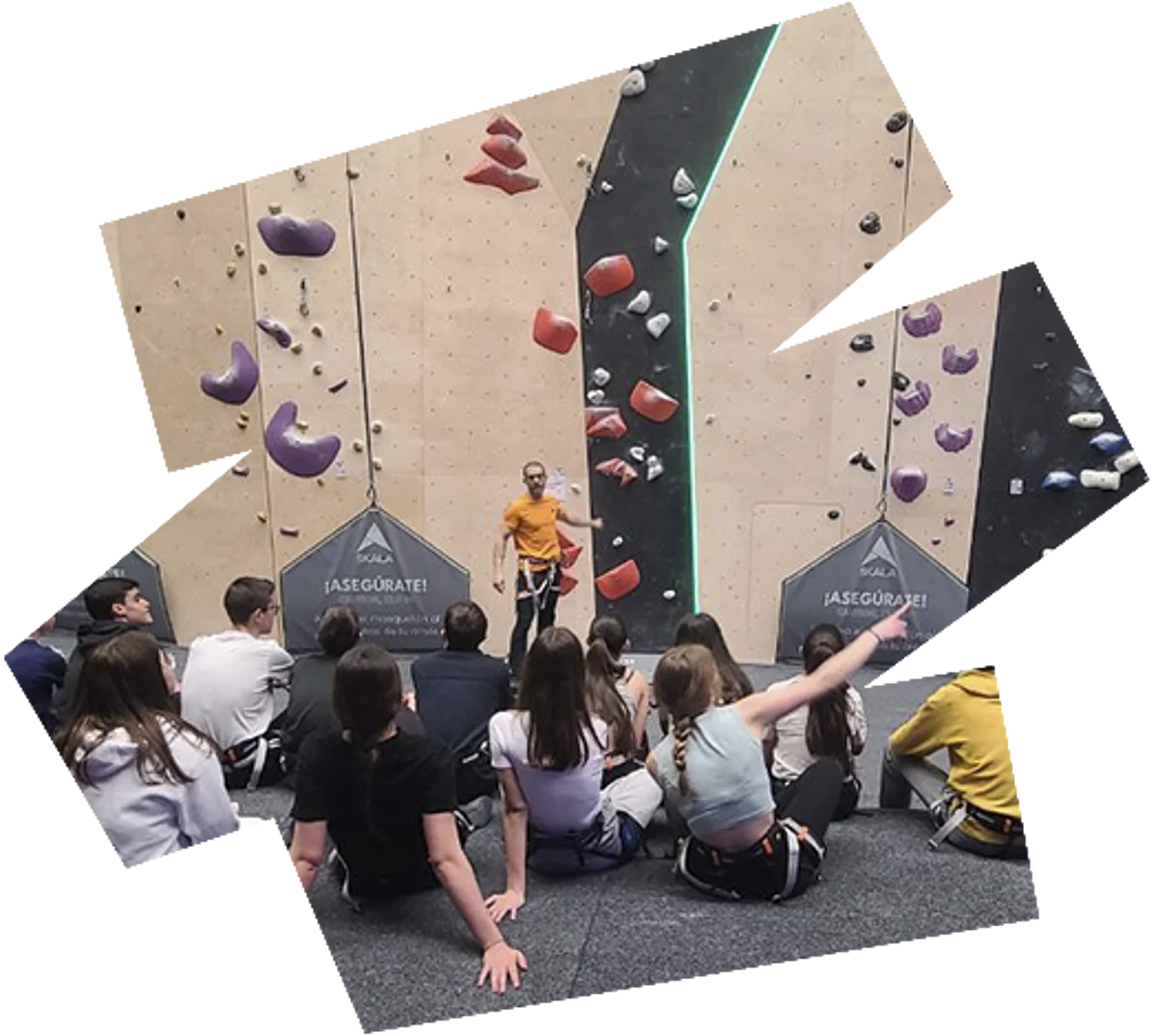 coles e institutos https://www.skalaroco.com/wp-content/uploads/2024/03/coles-e-institutos.webp