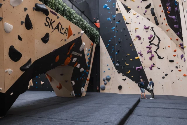 Zona cuerda Zona cuerda