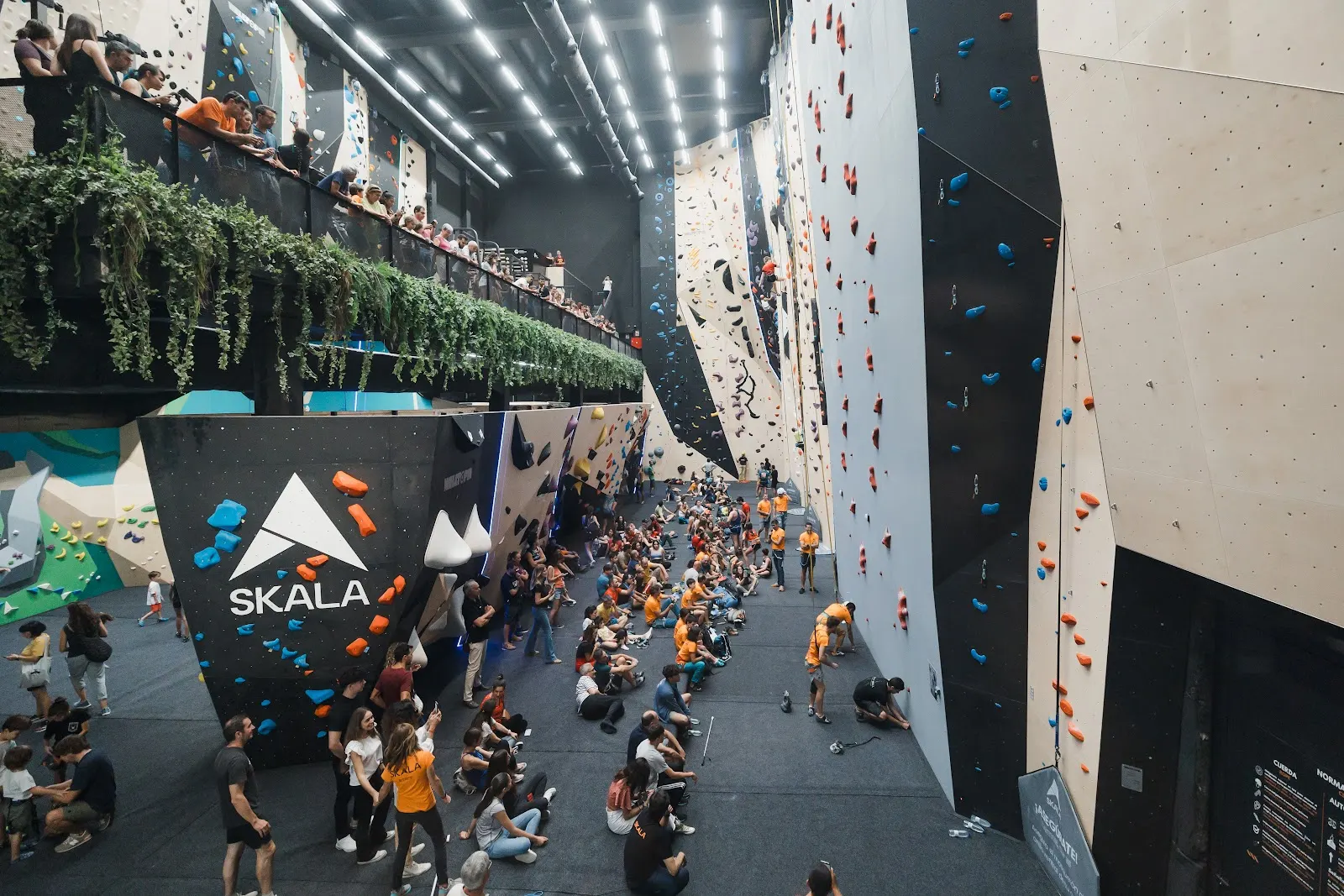 Gran grupo de personas reunido en la zona de boulder de SKALA ROCO