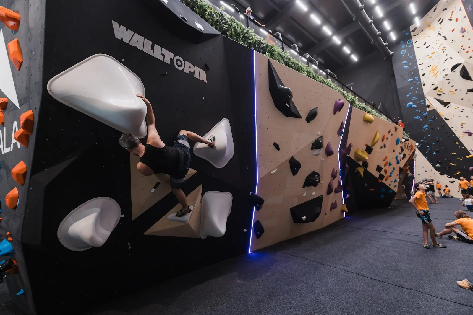 Escalador en un muro de boulder desplomado con presas blancas en SKALA ROCO