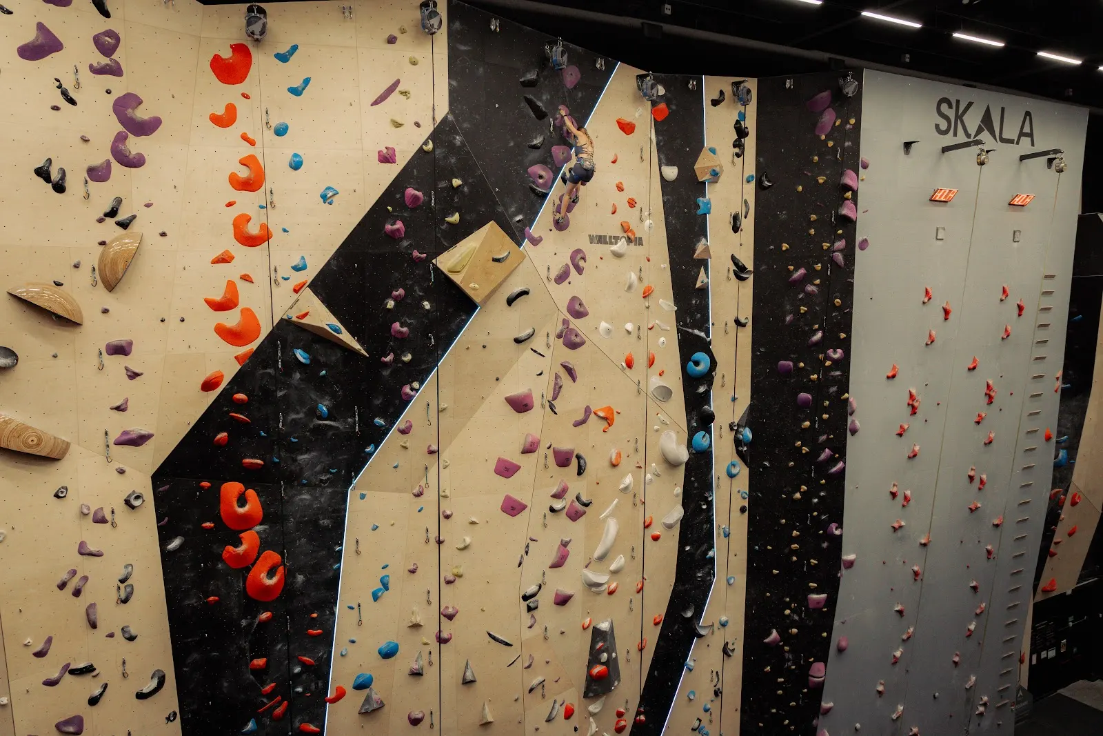 Muro alto de escalada de SKALA ROCO con vías de colores y un escalador en altura